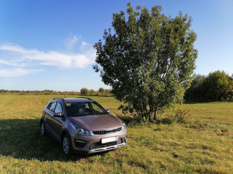 Kia Rio xline